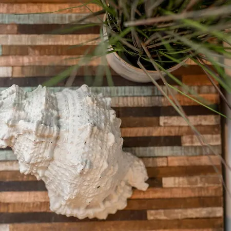 Feriehus La Ciotat Koksijde